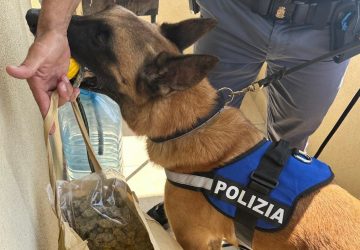 Blitz della polizia in uno stabile: trovato quasi un chilo e mezzo di droga