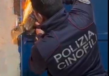 Rinvenuti in un vano condominiale 3 kg di marijuana e un fucile di provenienza furtiva VIDEO