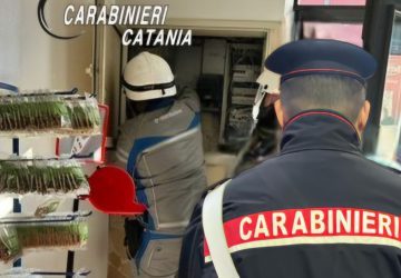 Controlli di carabinieri e Nas: scoperto chiosco con l'energia &ldquo;a costo zero&rdquo;. Chiuso un supermercato