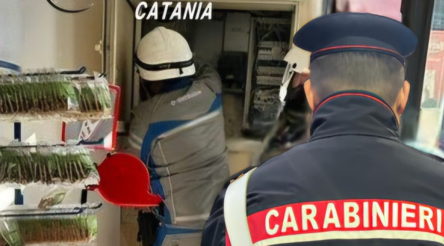 Controlli di carabinieri e Nas: scoperto chiosco con l’energia “a costo zero”. Chiuso un supermercato