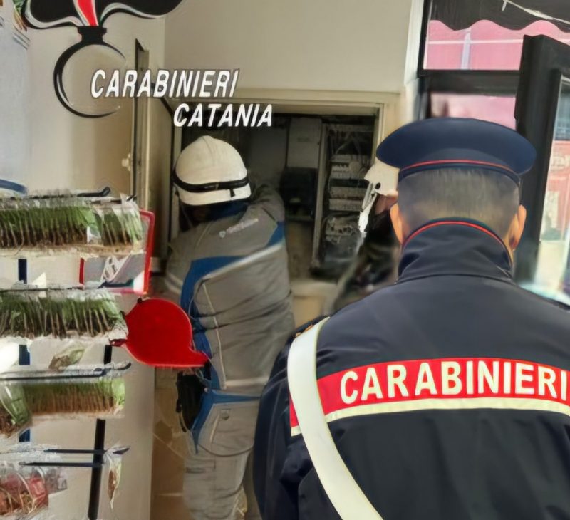 Controlli di carabinieri e Nas scoperto chiosco con l'energia “a costo
