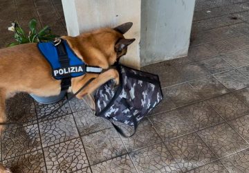 Nascondeva uno zaino contenente droga per un valore di oltre 120.000 euro: arrestato incensurato VIDEO