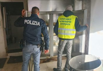 Scoperti un caseificio ed un panificio degli "orrori igienico sanitari": denuncia e sanzioni per il gestore VIDEO