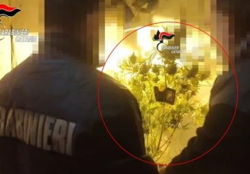 Scoperta serra artigianale per la coltivazione di marijuana. Arrestato 38enne