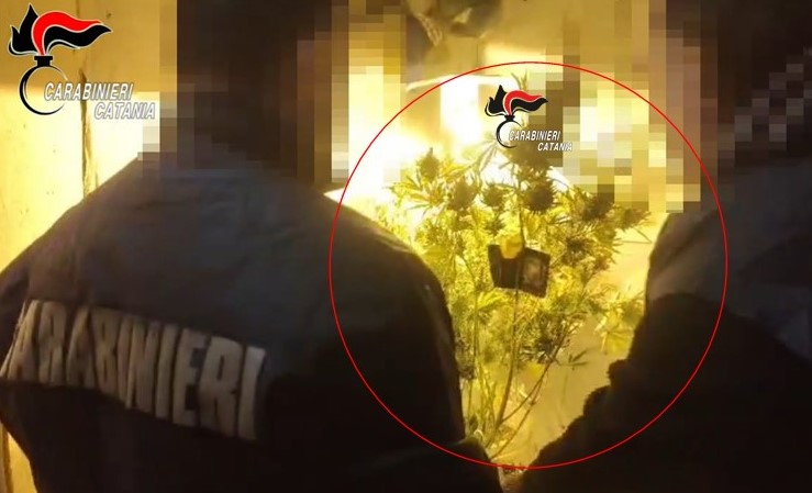 Scoperta serra artigianale per la coltivazione di marijuana. Arrestato 38enne