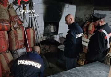 Acireale, scoperto panificio abusivo ed infestato da blatte: denunciato il titolare