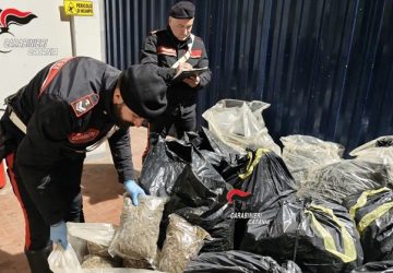 Maxi sequestro di droga a Catania: trovati 250 kg di marijuana VIDEO