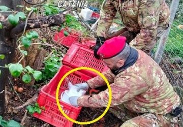 Pensava di passarla liscia ma i Carabinieri scovano 1 kg di cocaina: arrestato