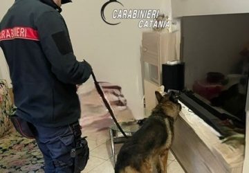 Zafferana, in casa con la droga pronta per la vendita: arrestato 19enne