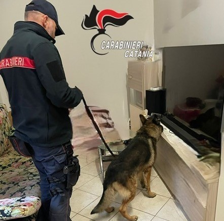 Zafferana, in casa con la droga pronta per la vendita: arrestato 19enne