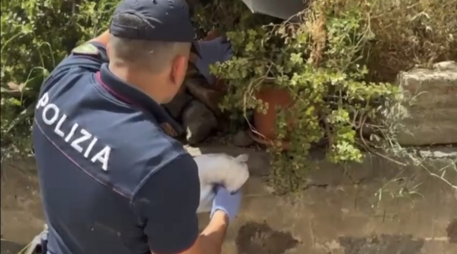 Nascondeva la cocaina sotto una pietra in giardino: arrestato 59enne