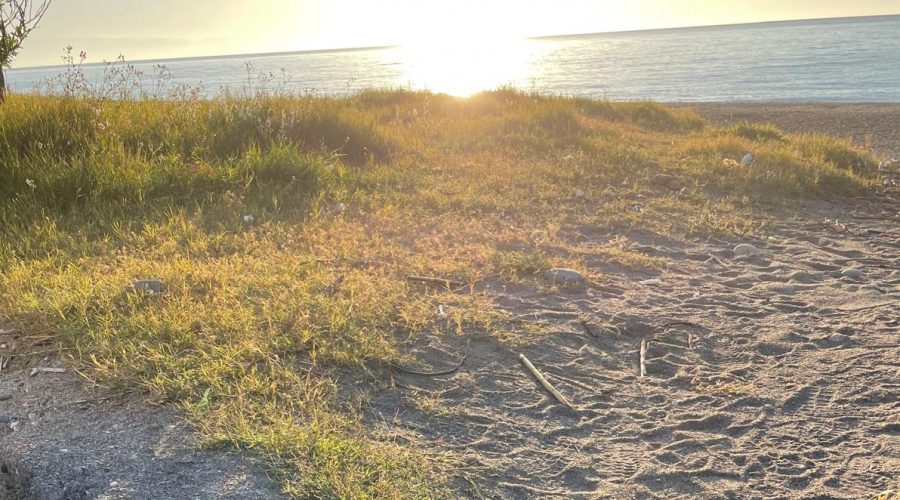 Fiumefreddo di Sicilia, domani la Giornata Ecologica sul lungomare di Marina di Cottone