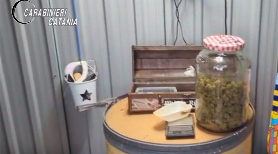 Nel giardino di casa aveva circa 1,5 kg di droga: arrestato 32enne e denunciato 36enne VIDEO