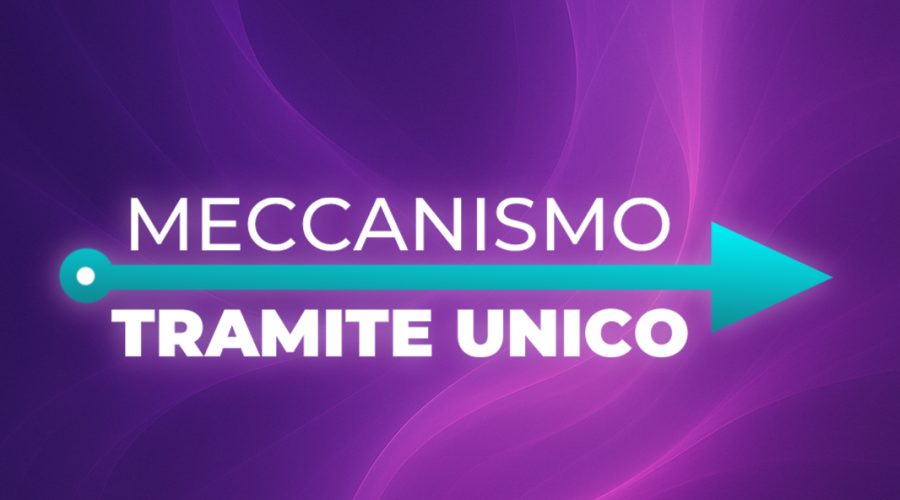 Meccanismo Tramite Unico: funzionamento e cosa ne pensano gli utenti