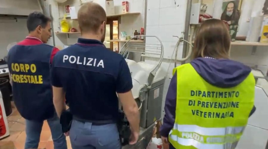 polizia asp e forestale