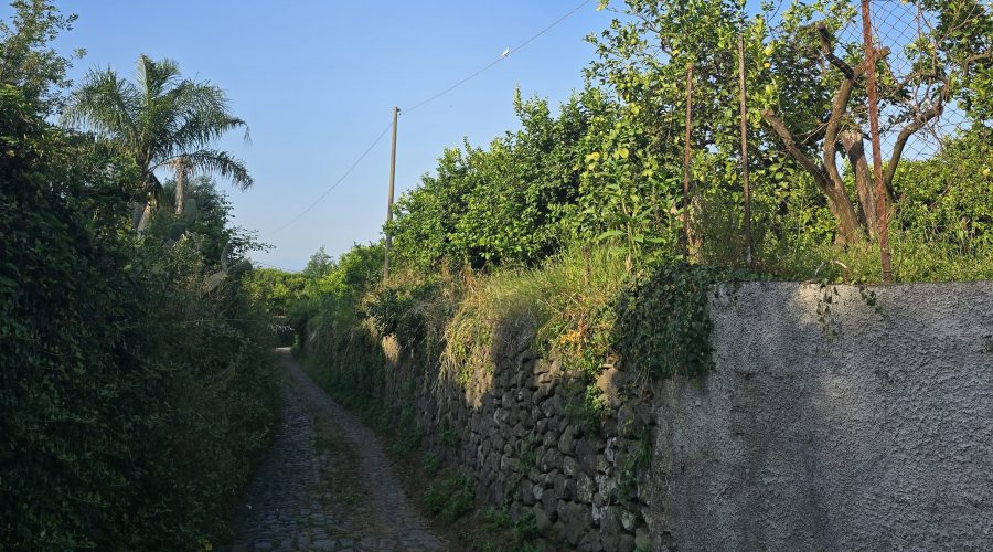 Giarre, alla scoperta della “strada da Vadda”: studenti in cammino tra storia e natura con la scuola Macherione-Verga