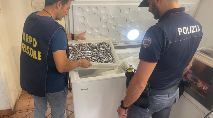Lavoro nero e blatte vicino gli alimenti: ristorante chiuso. In  un altro locale sequestrati prodotti non tracciati. Sanzioni per oltre 15 mila euro VIDEO
