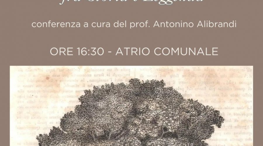 S. Alfio – Castagno 100 cavalli 02