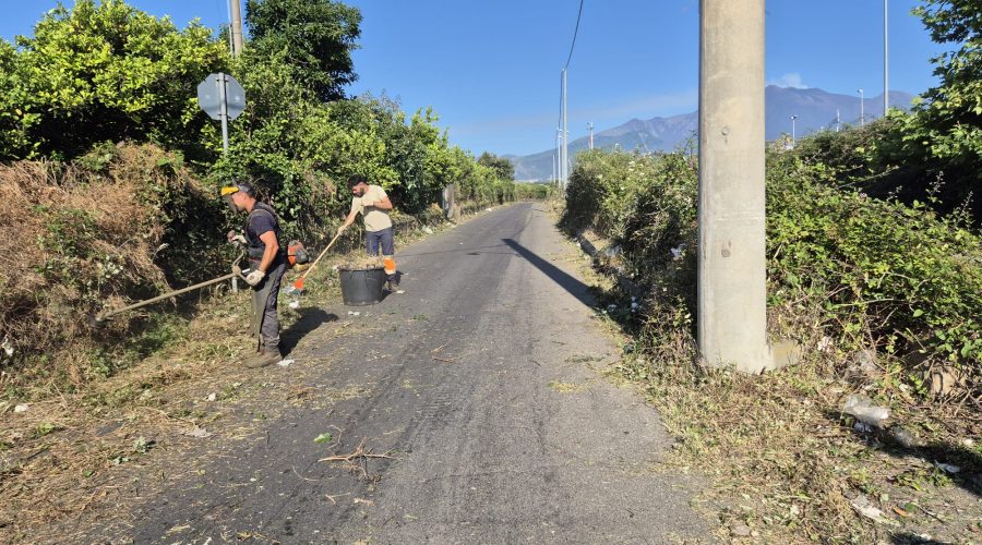 Riposto, disservizi nello scerbamento: il Comune affida incarico sostitutivo in danno alla ditta inadempiente