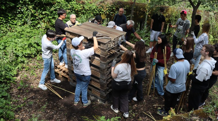 Giarre, gli studenti del Liceo Leonardo protagonisti al parco Chico Mendes: tra natura, sostenibilità e cittadinanza attiva