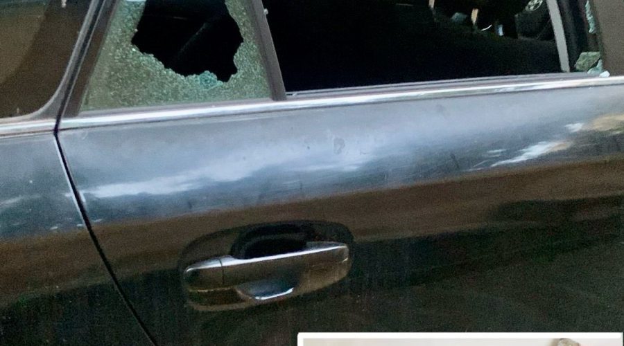 Distrugge il finestrino di un’auto per rubare due borse e un portamonete, arrestato pregiudicato