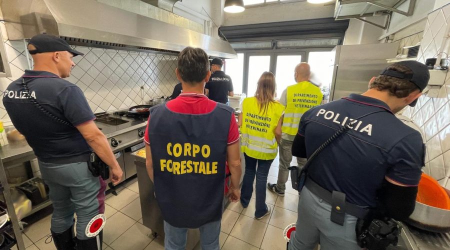 Controlli in due ristoranti: trovati lavoratori in nero e 60 kg di alimenti non tracciati. Sanzioni per oltre 44.000