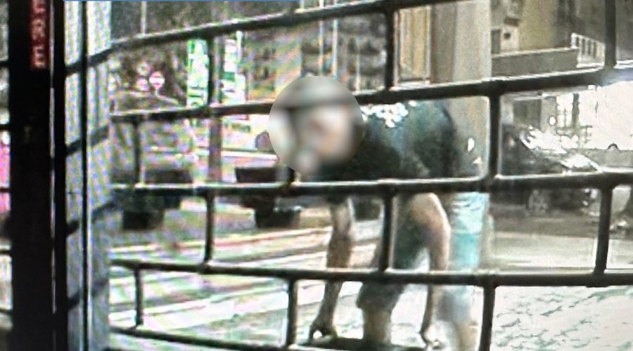 Vuole abbellire l’ingresso di casa e “pensa bene” di rubare del prato sintetico: denunciato