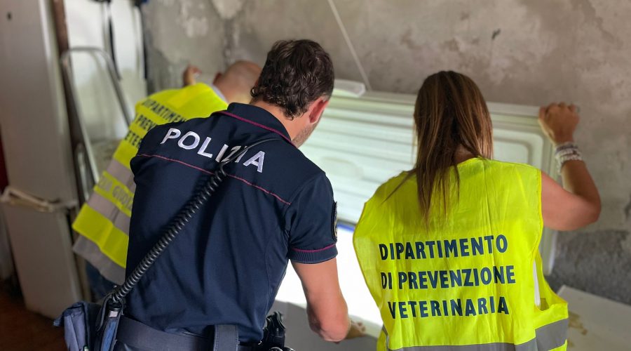 Carenze igienico-sanitarie, lavoro nero e irregolarità amministrative in un ristorante ed un panificio: denunciati i titolari VIDEO