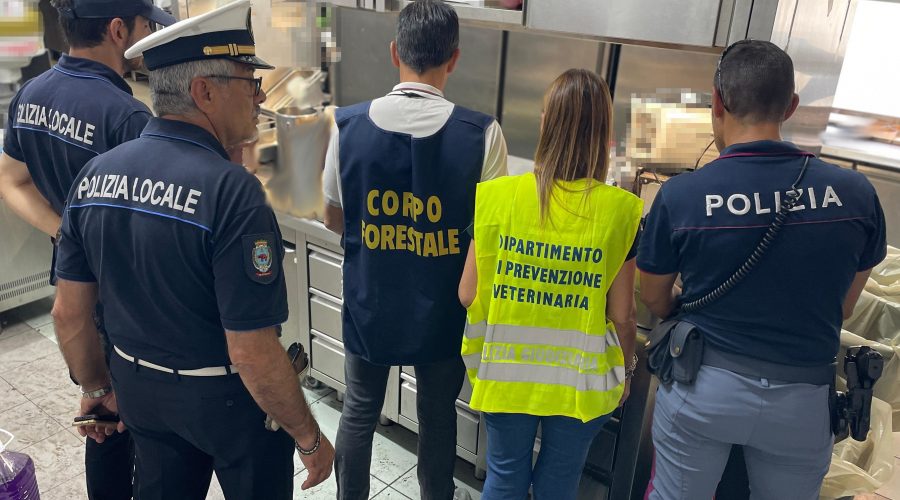 Controllati un lido e un ristorante a San Giovanni li Cuti: sanzioni per oltre 30mila euro. Distrutti circa 100 chili di alimenti VIDEO