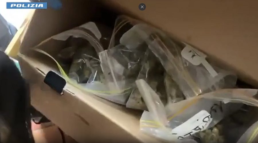 21 anni, mamma e spacciatrice: in casa aveva oltre 700 grammi di droga. Arrestata VIDEO