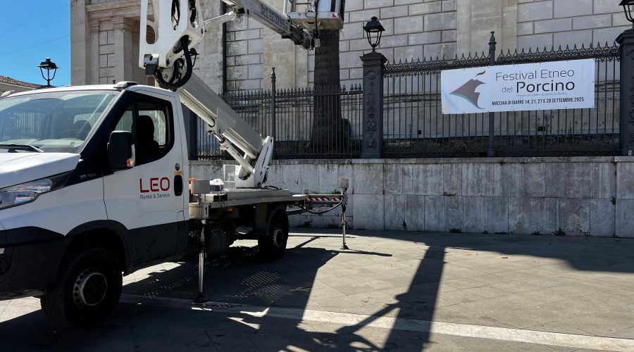 Giarre, palma pericolante rimossa grazie al volontariato: Duomo più sicuro