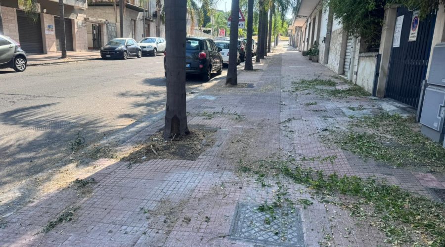 Giarre, scerbature a macchia di leopardo: sfalci abbandonati ovunque e città sempre sporca