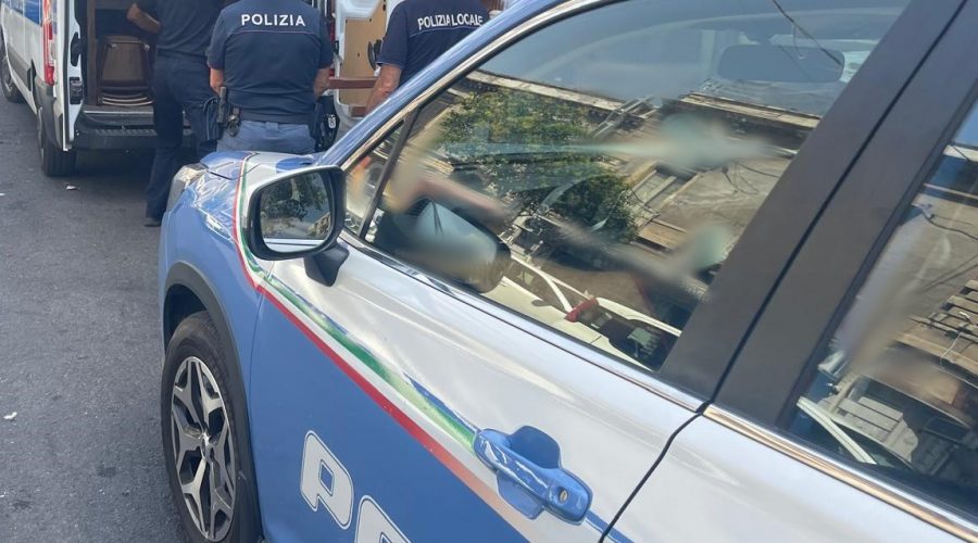 Sicurezza alimentare: blatte in un panificio. Sanzioni anche per alcune trattorie VIDEO