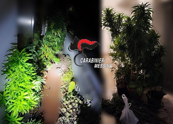 Coltivava marijuana nel balcone di casa: arrestato 72enne di Taormina