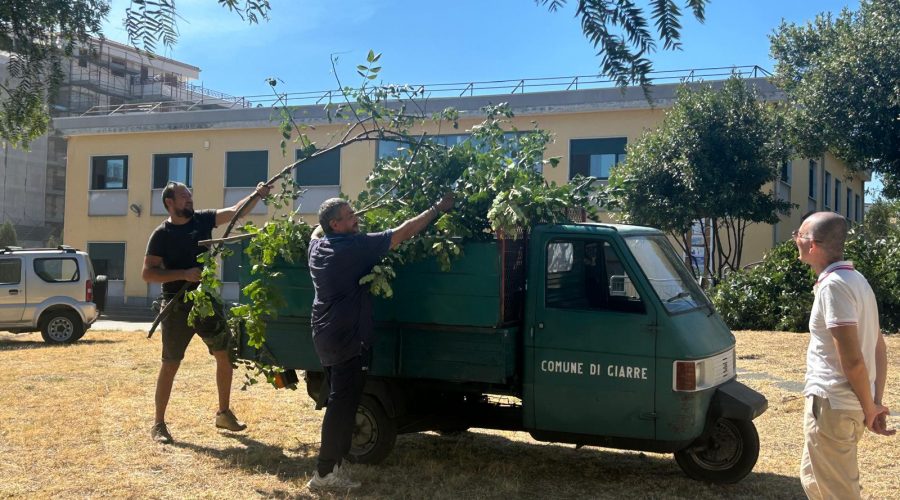 Giarre, scuole più accoglienti grazie ad un intervento di pulizia del verde scolastico
