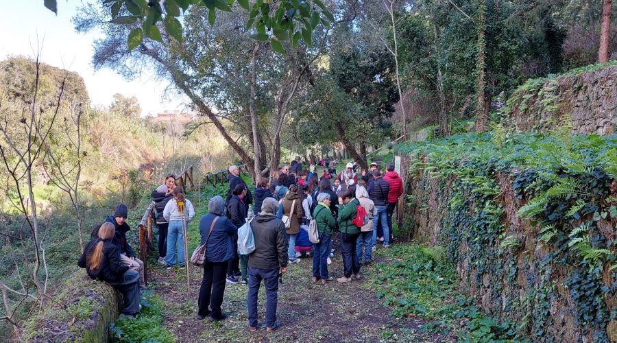 Giarre, la “Festa dell’albero” al parco Chico Mendes: volontari e scolari insieme per la natura