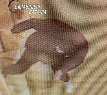 Acireale, entra di notte in uno studio dentistico e ruba 2 computer: scoperto 31enne