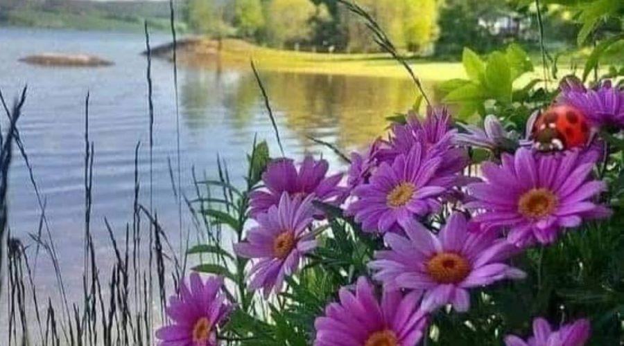 Dentro un dolcissimo pensiero