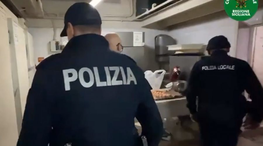 Blatte, insetti nella farina e 250 chili di alimenti scaduti: chiuso un bar. Sanzioni per migliaia di euro VIDEO
