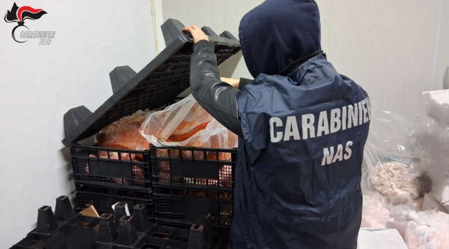 Prodotti a base di carne privi di tracciabilità e in cattivo stato di conservazione: denunciato il titolare