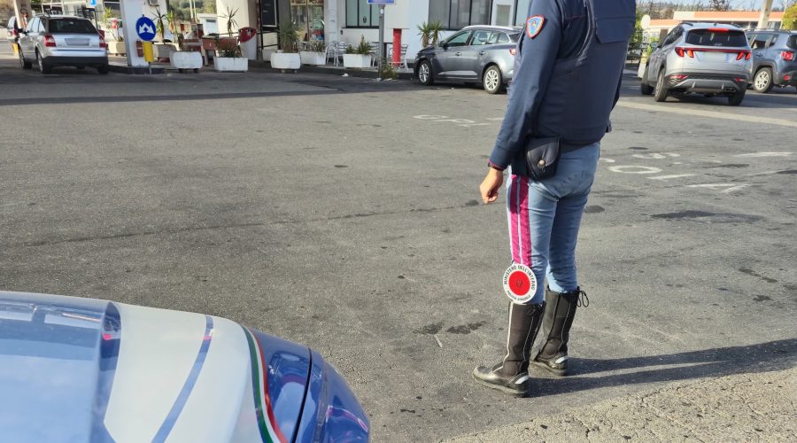 Trovati 10 vitelli stipati nel cofano di un furgone: denunciate 3 persone