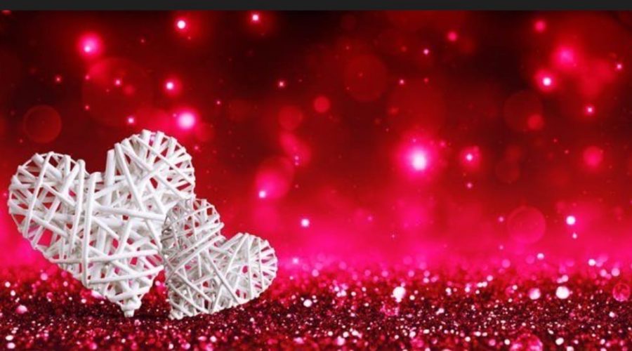 L’equilibrio della vita