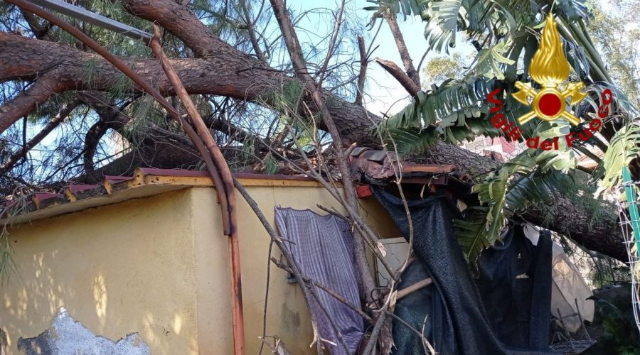 Forte vento: danni a Mascali, Fiumefreddo e Giarre