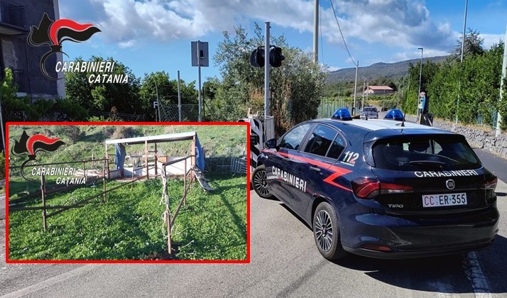 Piedimonte, smarrisce un cavallo affidatogli in custodia dall’Asp di Catania: denunciato 68enne