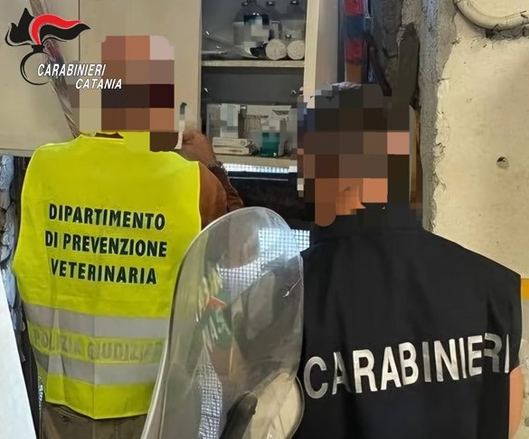 Segnalazione al 112 fa scattare i controlli dei Carabinieri: salvati due cani a Randazzo