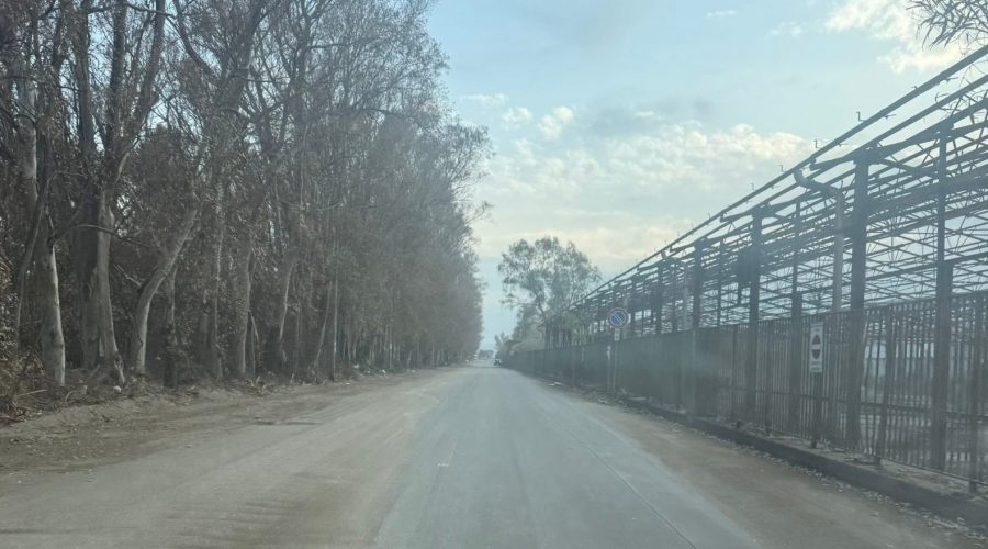 “Camminiamo insieme per il nostro litorale”: domani flashmob promosso dal movimento civico “Rilanciamo Marina di Cottone – San Marco”