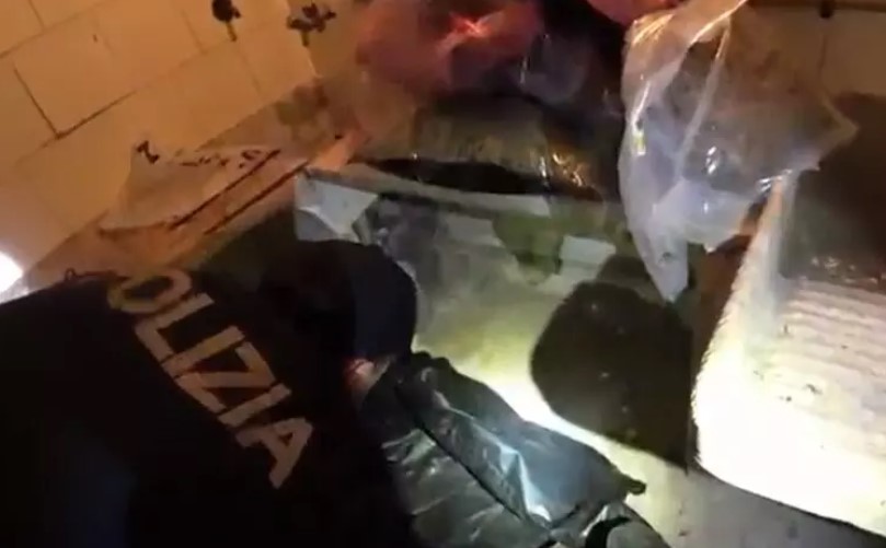 Sequestrati 8,4 chili di marijuana in un deposito a Catania