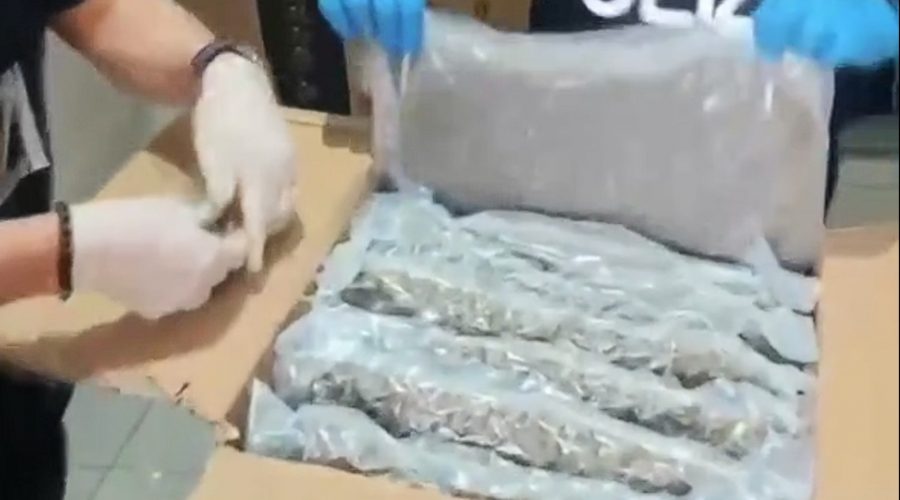 Trasformava la marijuana light in “adulterata”: arrestato 38enne ricercato. Sequestrati 27 kg di droga VIDEO