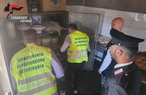 Acireale, scoperto caseificio abusivo e in pessime condizioni igienico–sanitarie