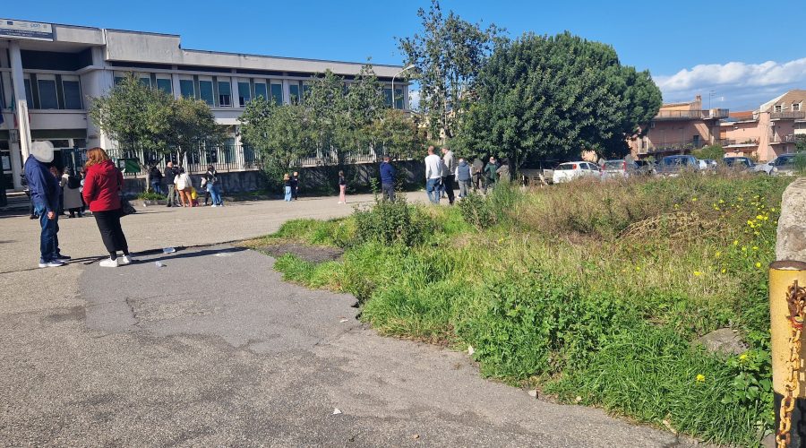 Giarre, verdi aiuole o… foresta in espansione?